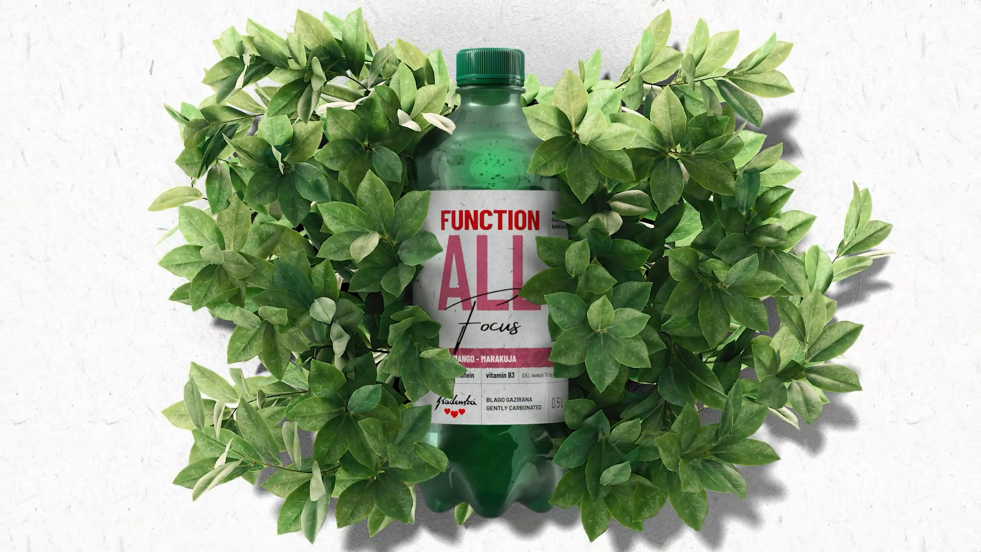 FunctionALL Radenska 01